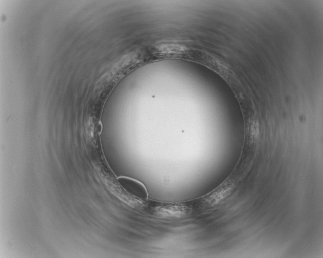 X0000055510567200508262143