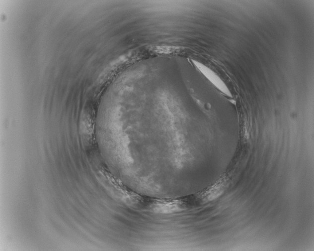 X0000055510569200508262143