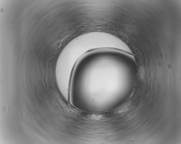 X0000055510570200508262143