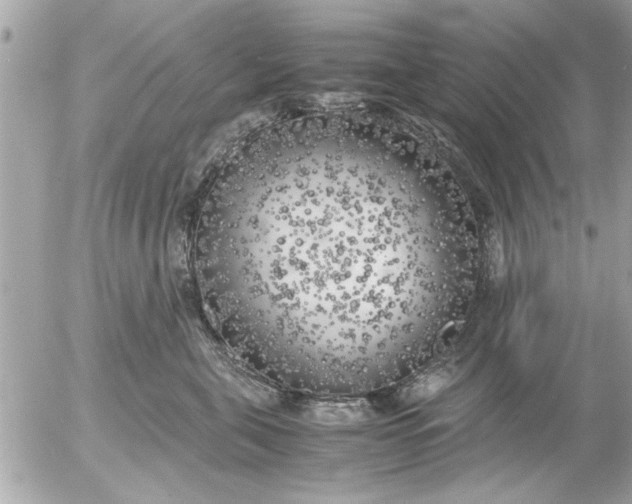 X0000055510571200508262143