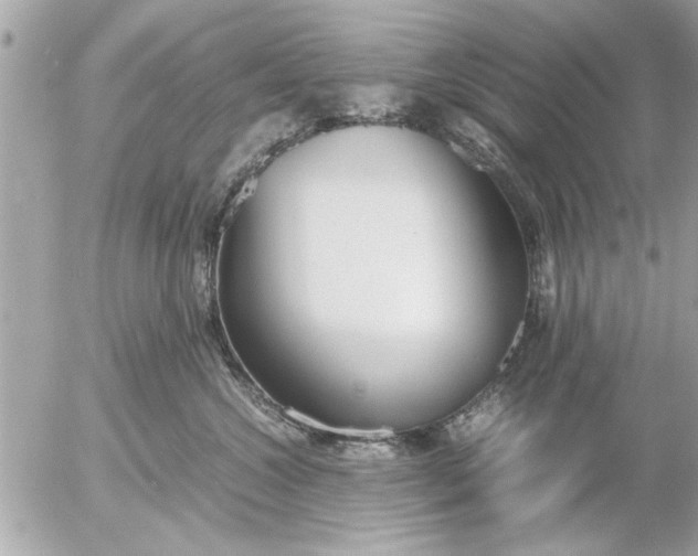 X0000055510572200508262143