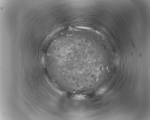 X0000055510573200508262143