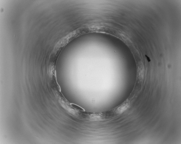 X0000055510574200508262143