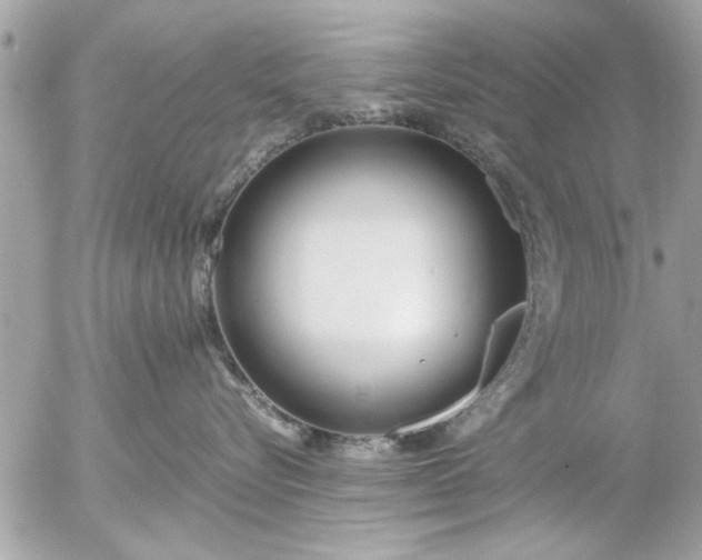 X0000055510576200508262143