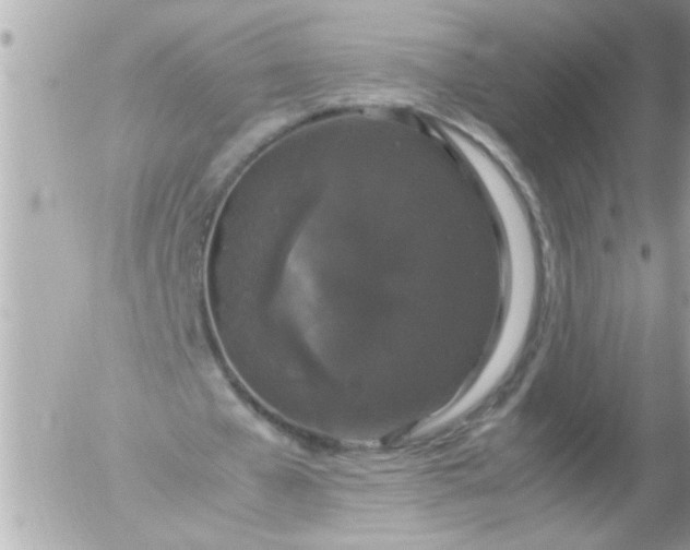 X0000055510577200508262142