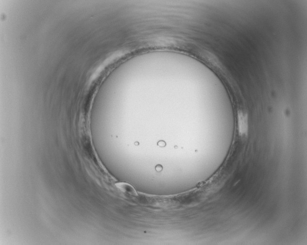 X0000055510579200508262142