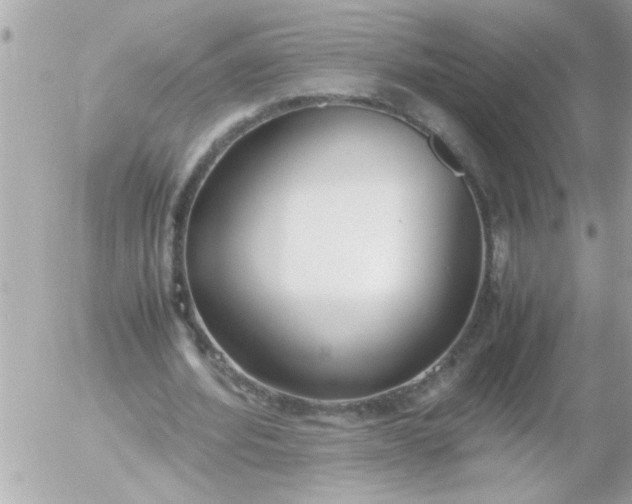 X0000055510580200508262142