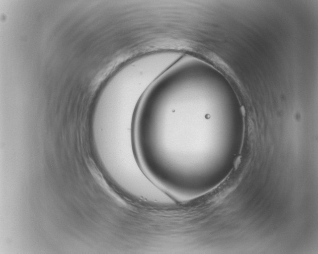 X0000055510581200508262142