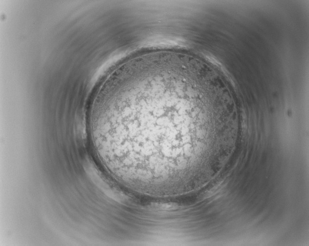 X0000055510582200508262142