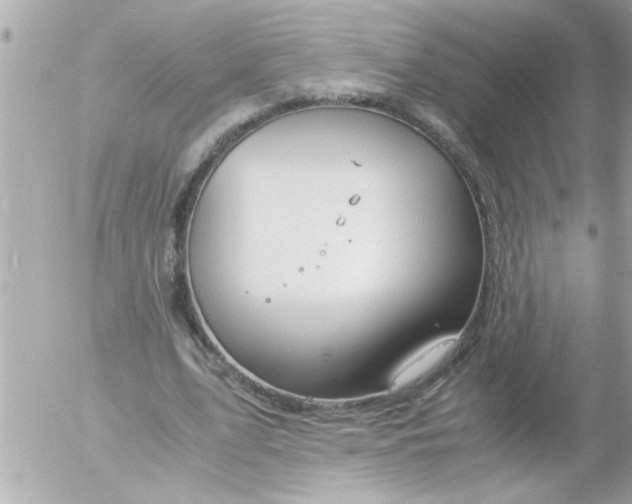 X0000055510583200508262142