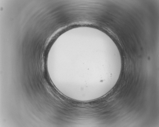 X0000055510584200508262142