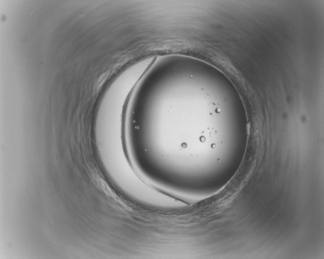 X0000055510585200508262142