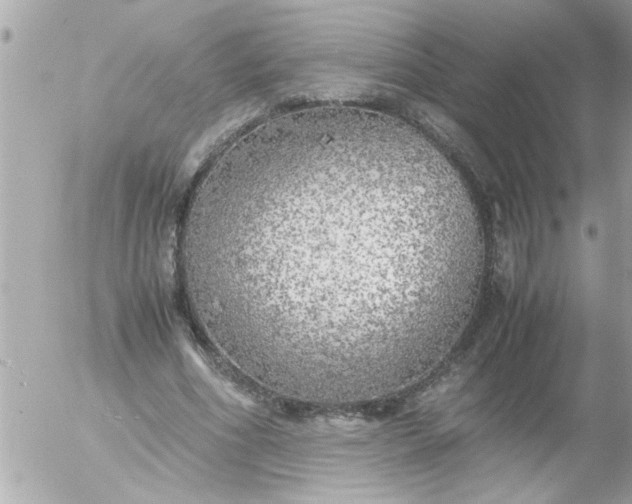 X0000055510586200508262142