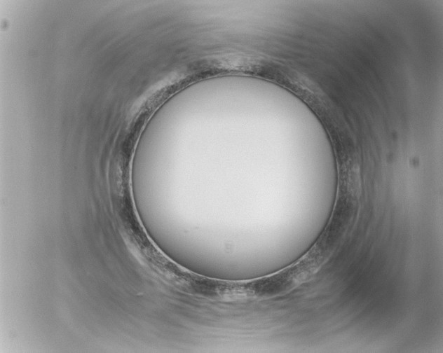 X0000055510587200508262142