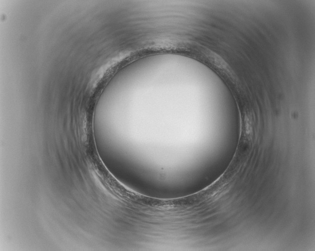 X0000055510588200508262142