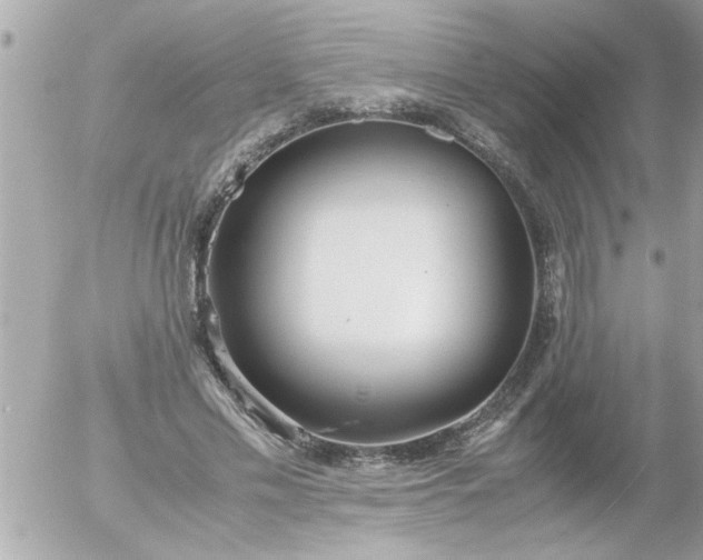 X0000055510589200508262142