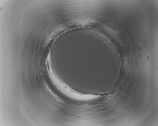 X0000055510590200508262142