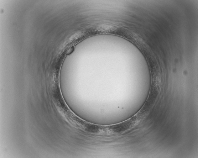 X0000055510591200508262142