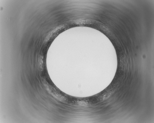 X0000055510592200508262142