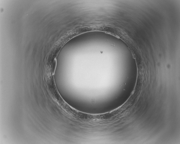 X0000055510593200508262142