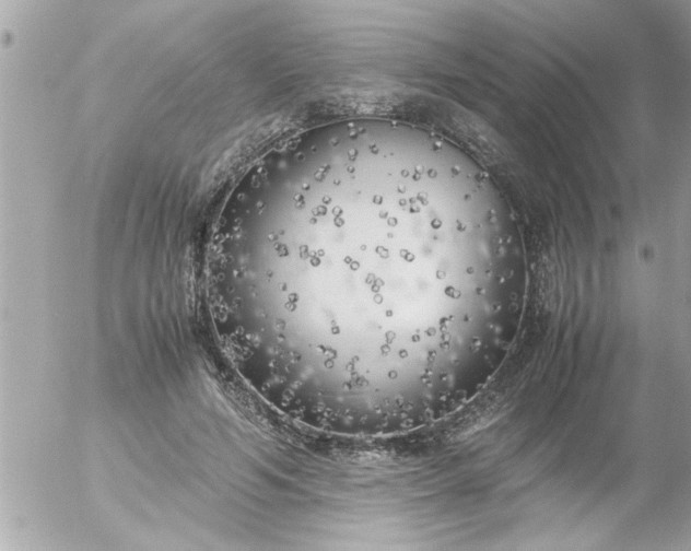 X0000055510594200508262142