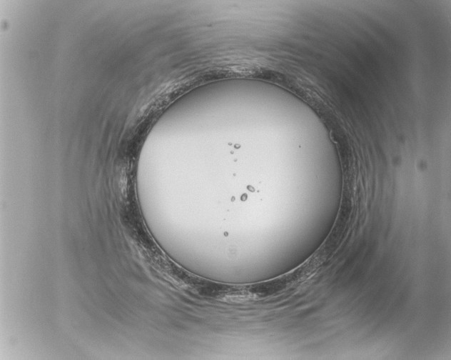 X0000055510595200508262142