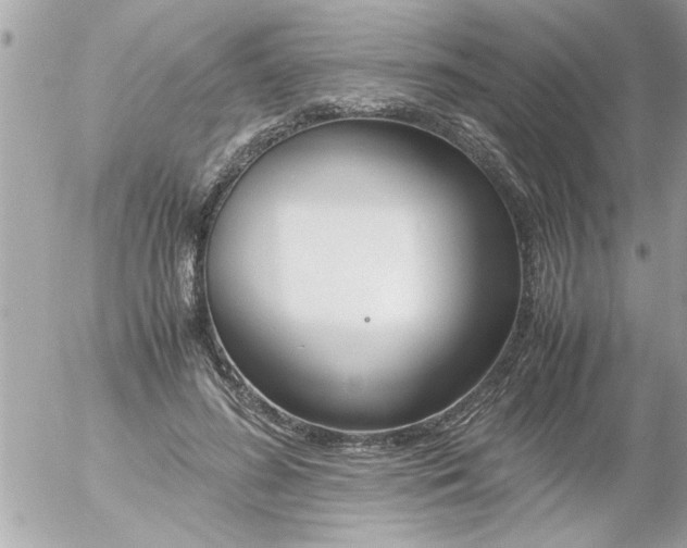 X0000055510596200508262142