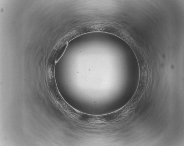 X0000055510597200508262142