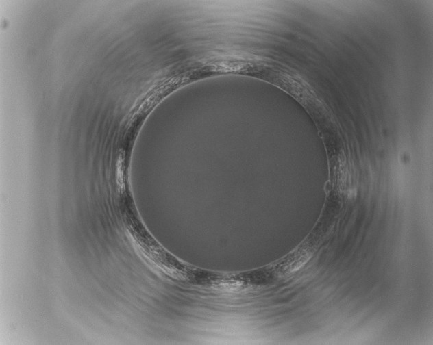 X0000055510598200508262142