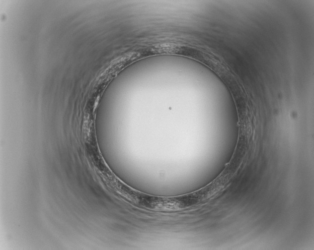 X0000055510599200508262142