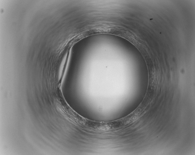 X0000055510600200508262142