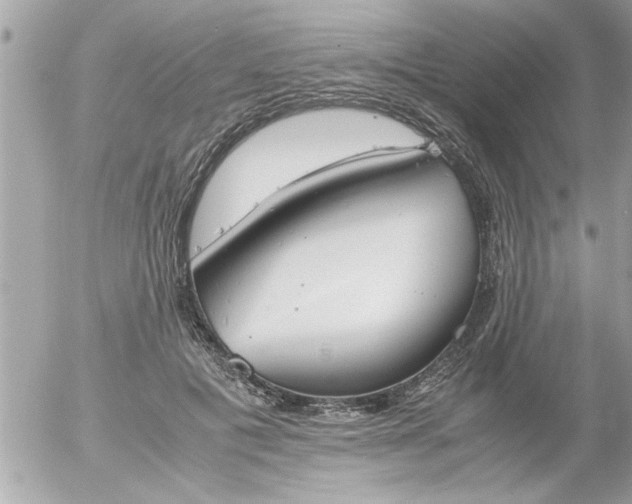 X0000055510601200508262142