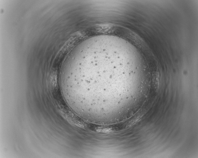 X0000055510602200508262142