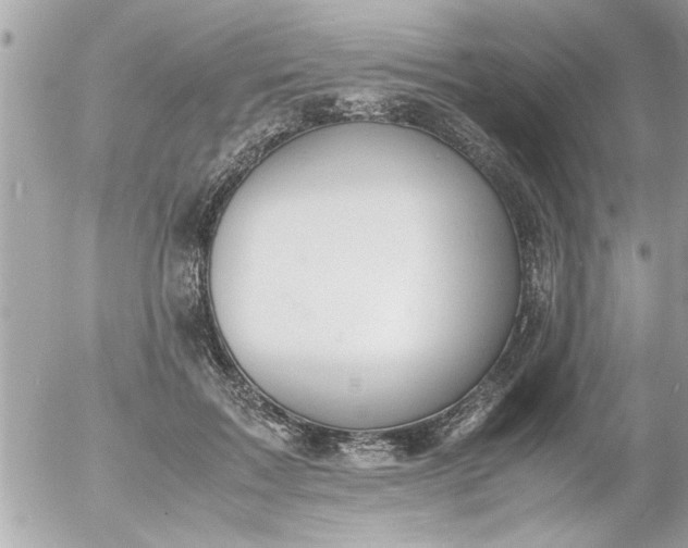 X0000055510603200508262142