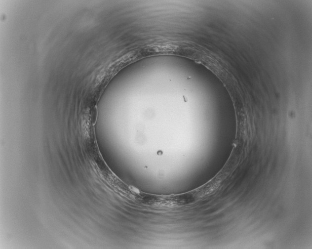 X0000055510604200508262142