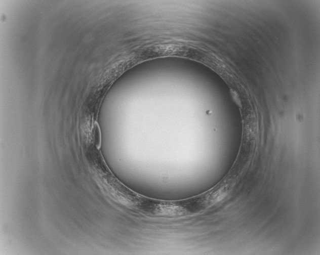 X0000055510605200508262142