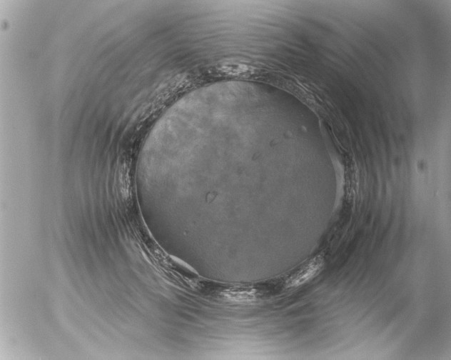 X0000055510606200508262142