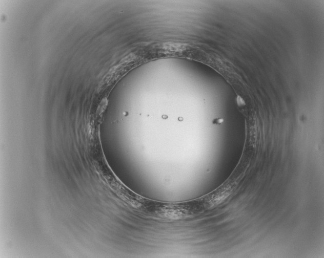 X0000055510608200508262142