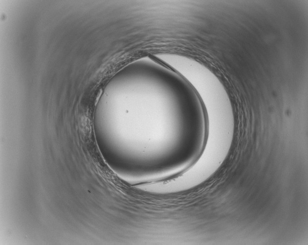 X0000055510609200508262142