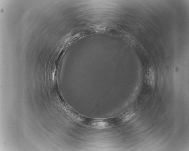 X0000055510610200508262142