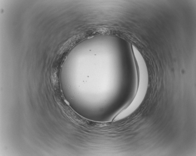 X0000055510611200508262142