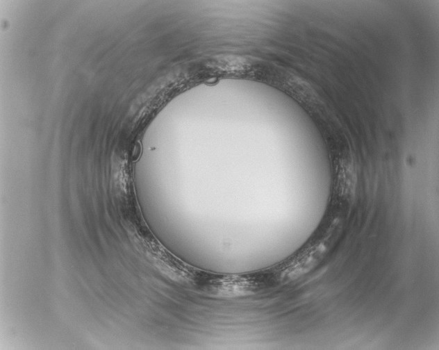 X0000055510612200508262142