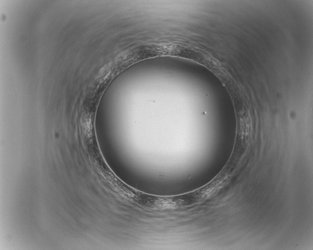 X0000055510613200508262142