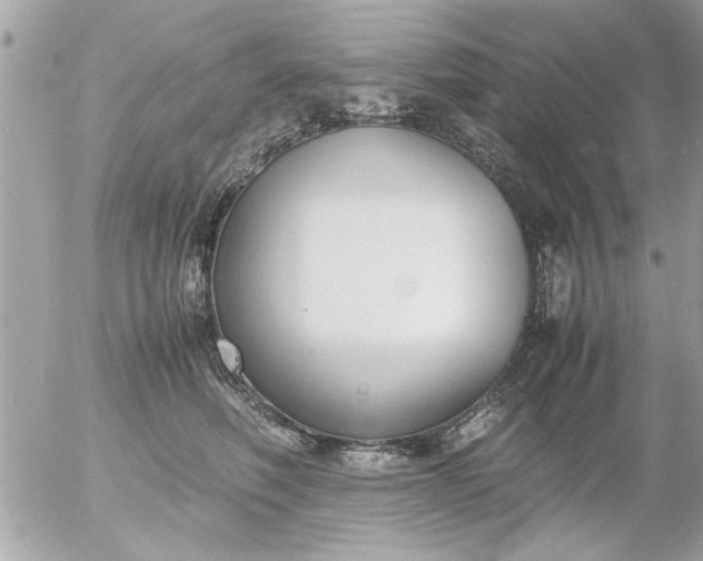 X0000055510614200508262142