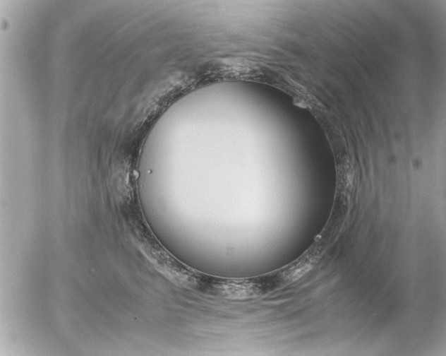 X0000055510615200508262142