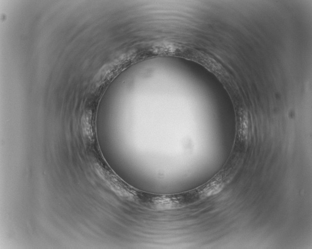 X0000055510616200508262142