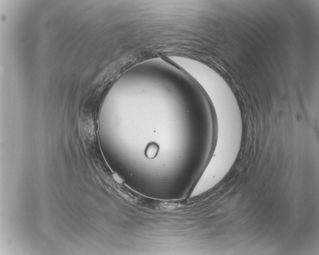 X0000055510617200508262142