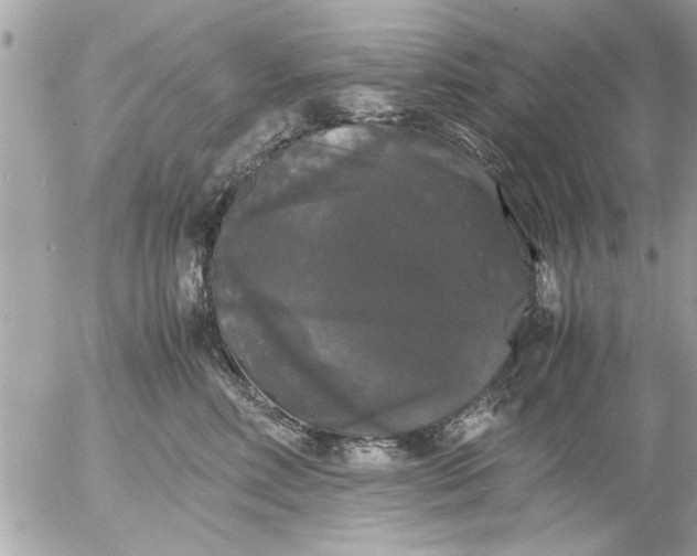 X0000055510618200508262142