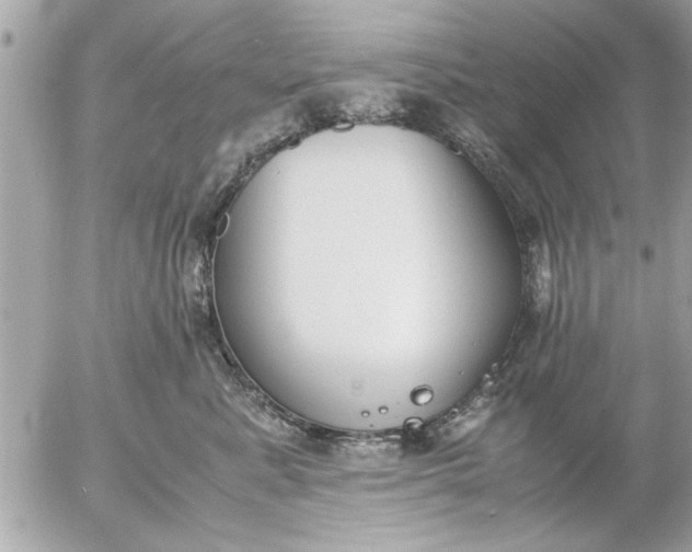 X0000055510619200508262142