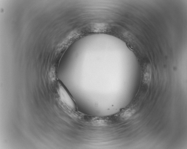 X0000055510620200508262142